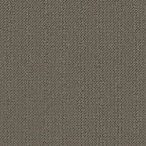 Anderson Tuftex Carpet Gracious Thunder 00340_ZZ325