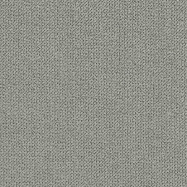 Anderson Tuftex Carpet Gracious Illusive 00441_ZZ325
