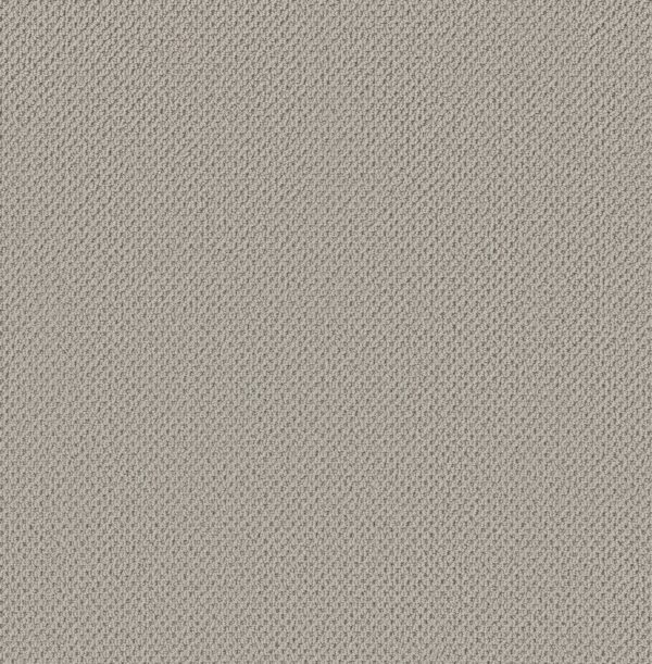 Anderson Tuftex Carpet Gracious Mist 00540_ZZ325