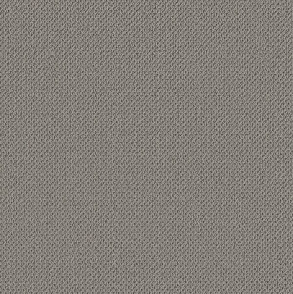 Anderson Tuftex Carpet Gracious Iron Mountain 00541_ZZ325