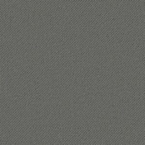 Anderson Tuftex Carpet Gracious Smoky Gray 00552_ZZ325