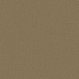 Anderson Tuftex Carpet Gracious Warmth 00702_ZZ325