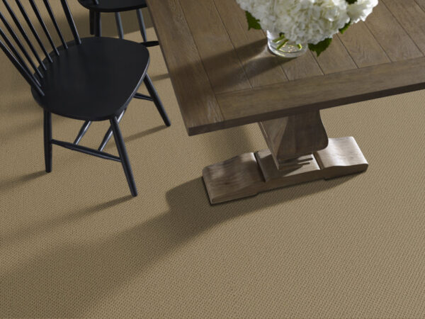Anderson Tuftex Carpet Gracious Warmth 00702_ZZ325 - Image 2