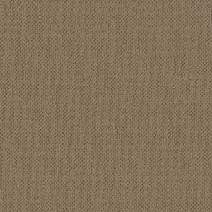 Anderson Tuftex Carpet Gracious Vintage Brown 00740_ZZ325