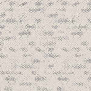 Anderson Tuftex Carpet Evoke First Frost 00100_ZZ326