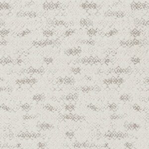 Anderson Tuftex Carpet Evoke Linen 00101_ZZ326