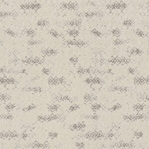 Anderson Tuftex Carpet Evoke Canvas 00102_ZZ326