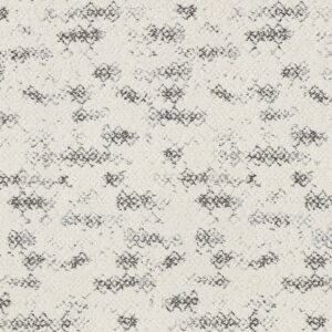Anderson Tuftex Carpet Evoke Granite 00103_ZZ326