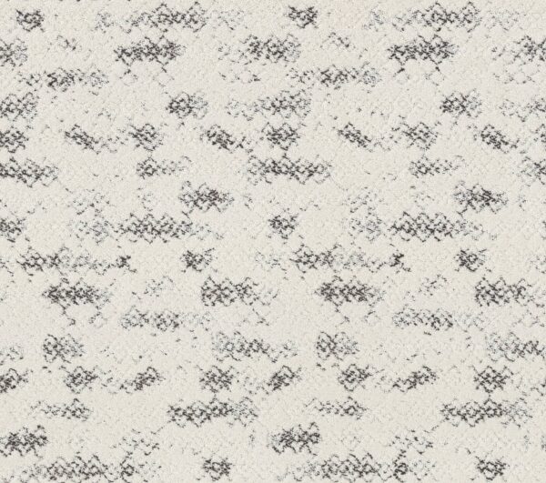 Anderson Tuftex Carpet Evoke Granite 00103_ZZ326