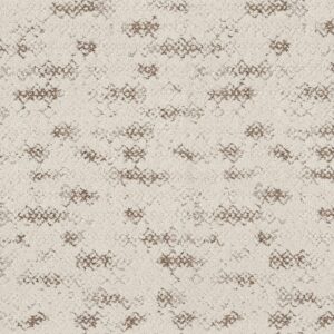 Anderson Tuftex Carpet Evoke Vintage Find 00105_ZZ326