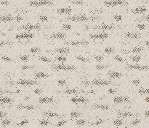 Anderson Tuftex Carpet Evoke Vintage Find 00105_ZZ326