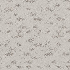 Anderson Tuftex Carpet Evoke Grey Fox 00112_ZZ326