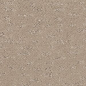 Anderson Tuftex Carpet Evoke Fresh Bread 00114_ZZ326