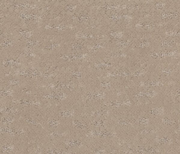 Anderson Tuftex Carpet Evoke Fresh Bread 00114_ZZ326