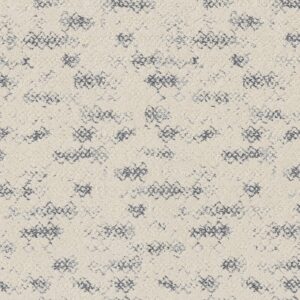 Anderson Tuftex Carpet Evoke Serenity 00400_ZZ326
