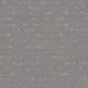 Anderson Tuftex Carpet Evoke Pewter 00501_ZZ326