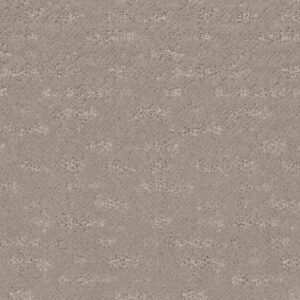 Anderson Tuftex Carpet Evoke Pebble Path 00700_ZZ326