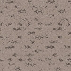 Anderson Tuftex Carpet Evoke Mocha 00702_ZZ326
