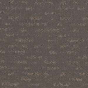 Anderson Tuftex Carpet Evoke Walnut 00705_ZZ326