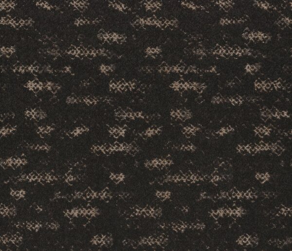 Anderson Tuftex Carpet Evoke Dark Roast 00706_ZZ326