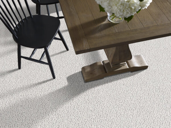 Anderson Tuftex Carpet Ambitious First Frost 00100_ZZ327 - Image 2