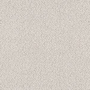 Anderson Tuftex Carpet Ambitious Linen 00101_ZZ327
