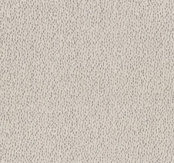 Anderson Tuftex Carpet Ambitious Canvas 00102_ZZ327