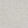 Anderson Tuftex Carpet Ambitious Granite 00103_ZZ327