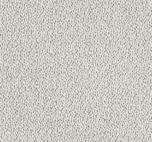 Anderson Tuftex Carpet Ambitious Granite 00103_ZZ327