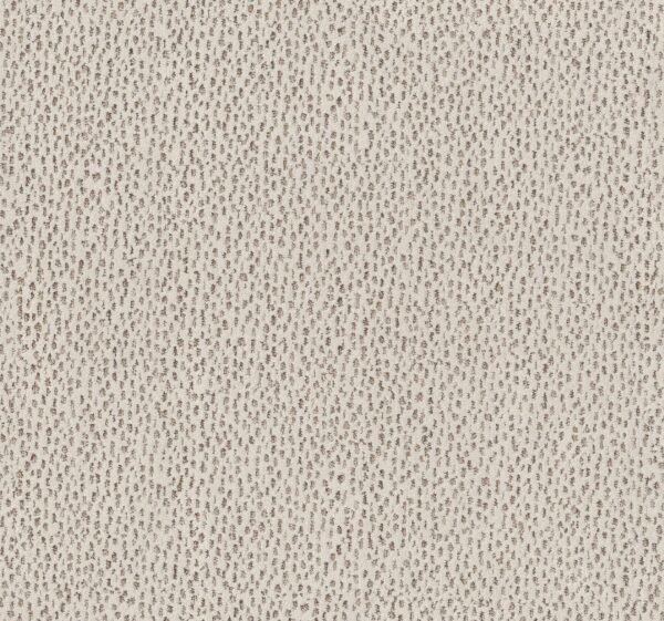 Anderson Tuftex Carpet Ambitious Vintage Find 00105_ZZ327
