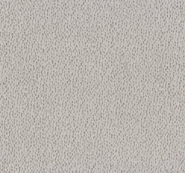 Anderson Tuftex Carpet Ambitious Grey Fox 00112_ZZ327
