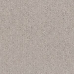 Anderson Tuftex Carpet Ambitious Smooth Stones 00113_ZZ327