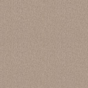 Anderson Tuftex Carpet Ambitious Fresh Bread 00114_ZZ327