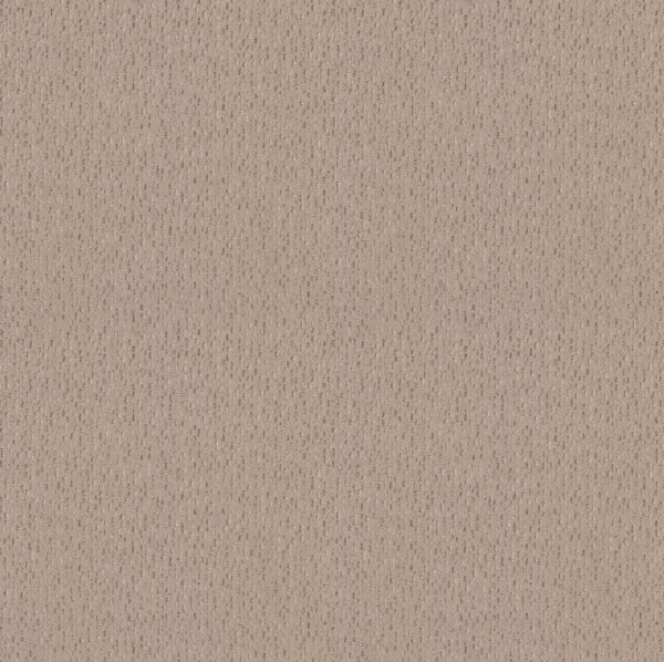 Anderson Tuftex Carpet Ambitious Fresh Bread 00114_ZZ327