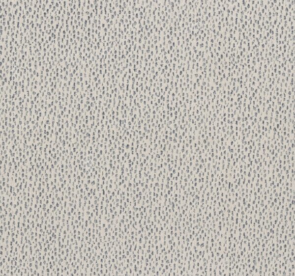 Anderson Tuftex Carpet Ambitious Serenity 00400_ZZ327
