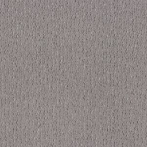 Anderson Tuftex Carpet Ambitious Pewter 00501_ZZ327