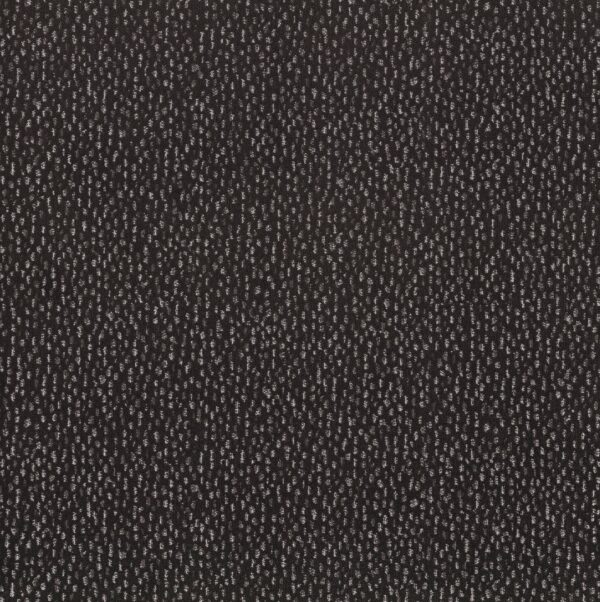 Anderson Tuftex Carpet Ambitious Charcoals 00505_ZZ327