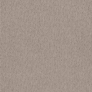Anderson Tuftex Carpet Ambitious Pebble Path 00700_ZZ327