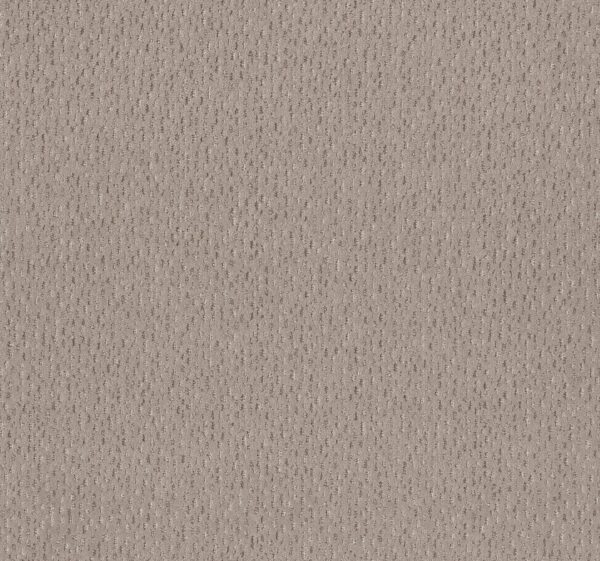 Anderson Tuftex Carpet Ambitious Pebble Path 00700_ZZ327
