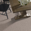 Anderson Tuftex Carpet Ambitious Mocha 00702_ZZ327 - Image 2