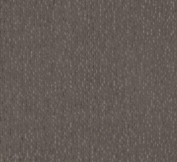 Anderson Tuftex Carpet Ambitious Walnut 00705_ZZ327
