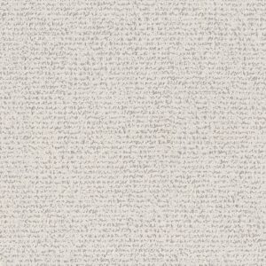 Anderson Tuftex Carpet Tangent First Frost 00100_ZZ328