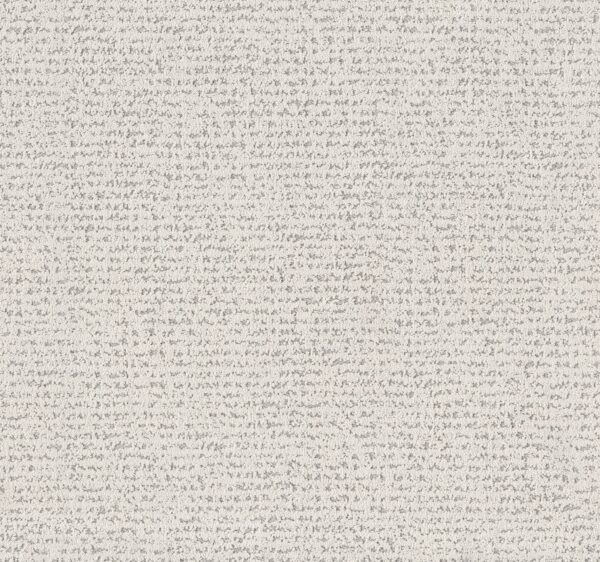 Anderson Tuftex Carpet Tangent First Frost 00100_ZZ328