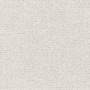 Anderson Tuftex Carpet Tangent Linen 00101_ZZ328