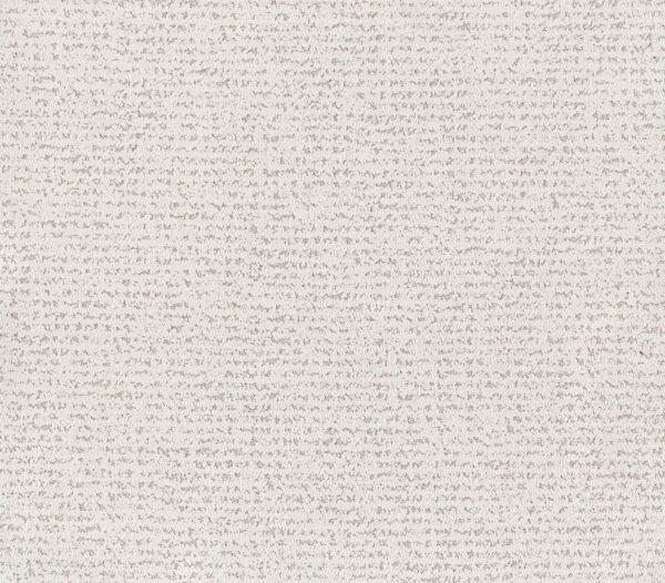 Anderson Tuftex Carpet Tangent Linen 00101_ZZ328