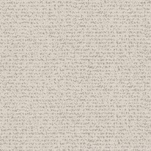 Anderson Tuftex Carpet Tangent Canvas 00102_ZZ328