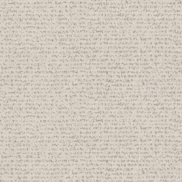 Anderson Tuftex Carpet Tangent Canvas 00102_ZZ328