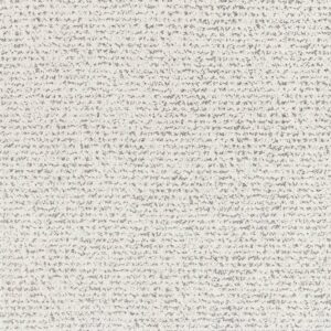 Anderson Tuftex Carpet Tangent Granite 00103_ZZ328