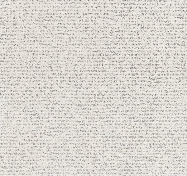 Anderson Tuftex Carpet Tangent Granite 00103_ZZ328