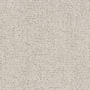Anderson Tuftex Carpet Tangent Vintage Find 00105_ZZ328